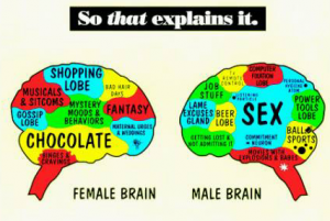 Marketing to the Female Brain